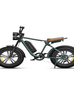 Engwe M20 Electric Bike