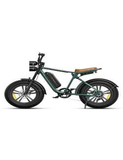 Engwe M20 Electric Bike