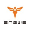 Engwe Electric Bikes